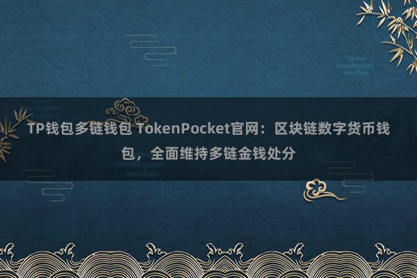 TP钱包多链钱包 TokenPocket官网：区块链数字货币钱包，全面维持多链金钱处分